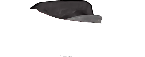 Black Guard