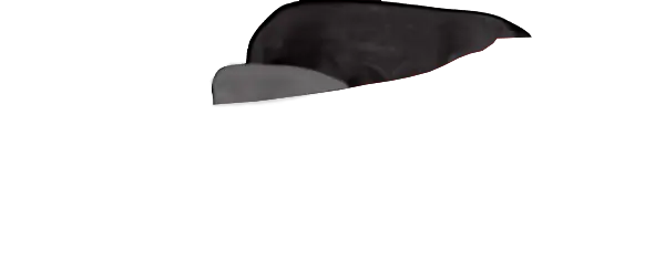 Black Guard