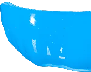 Carolina Blue Guard