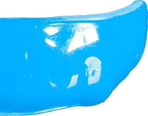 Carolina Blue Guard