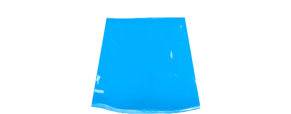 Carolina Blue Guard