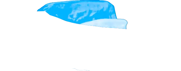 Carolina Blue Guard