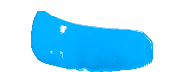 Carolina Blue Guard