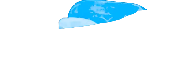 Carolina Blue Guard