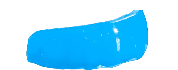 Carolina Blue Guard