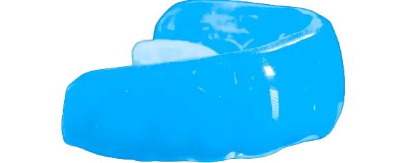 Carolina Blue Guard
