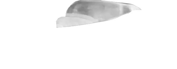 Clear Guard