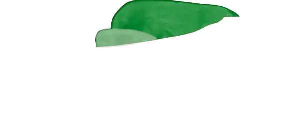 Green Guard