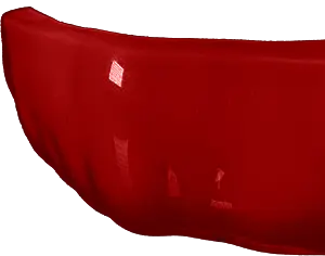 Maroon Guard