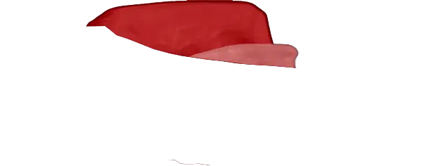Maroon Guard