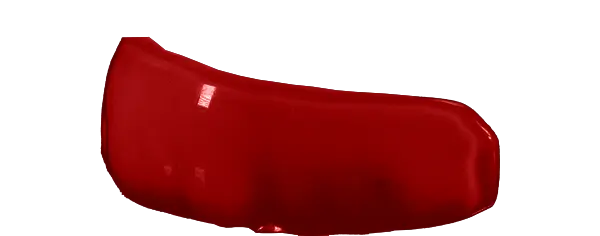 Maroon Guard