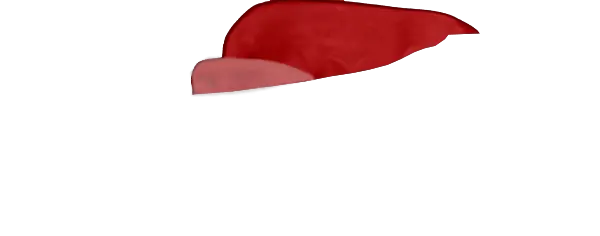 Maroon Guard