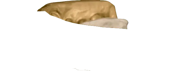 Metallic Gold Guard