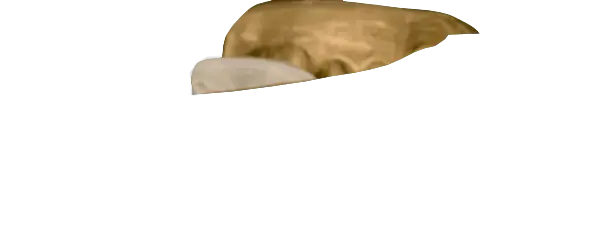 Metallic Gold Guard
