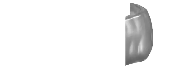 Metallic Silver Guard