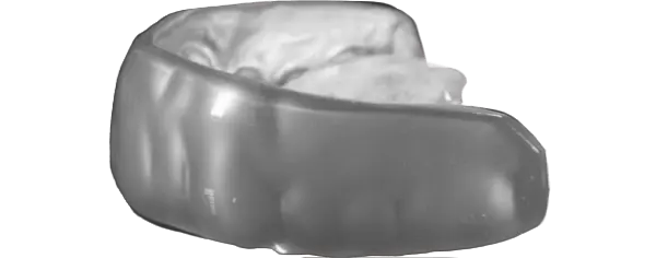 Metallic Silver Guard