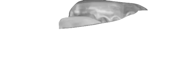 Metallic Silver Guard