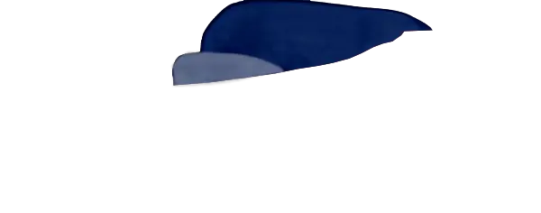 Navy Guard