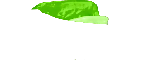Neon Green Guard