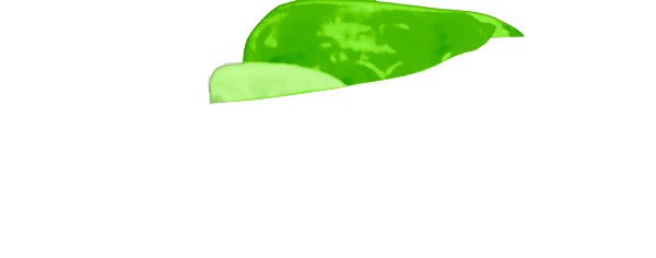 Neon Green Guard