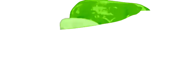 Neon Green Guard