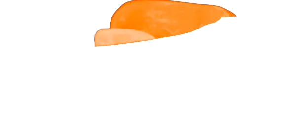 Neon Orange Guard