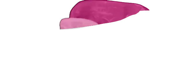 Plum Guard