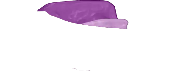 Purple Guard