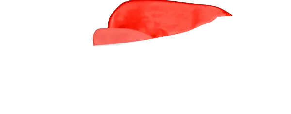 Red Guard