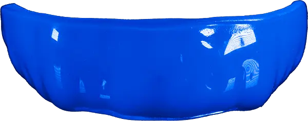 Royal Blue Guard