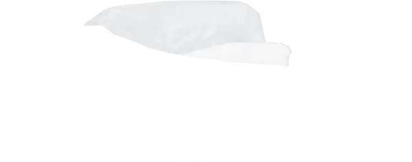 White Guard
