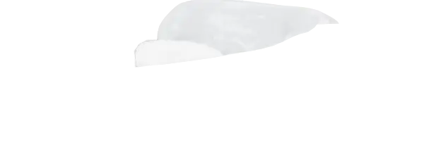 White Guard