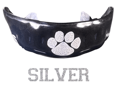 silver metallic custom mouthguard